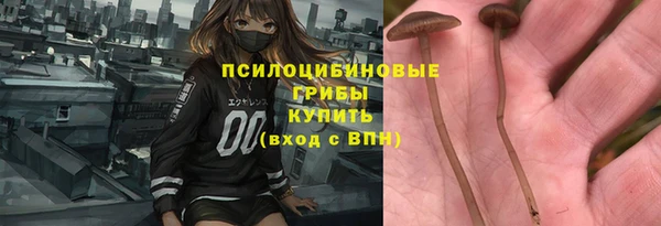герыч Сосновоборск