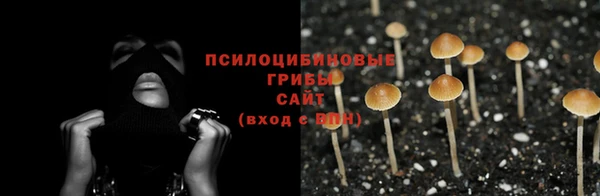 экстази Сосновка